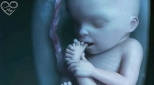 Florida Must Vote This November Against Abortions Up to Birth
