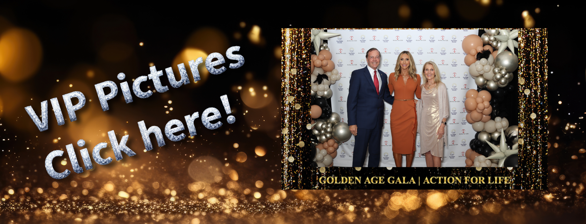 VIP pictures from Golden-Age Gala