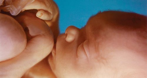 The research about babies they're trying to hide