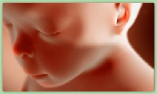 Florida Supreme Court Appears Opposed to Ballot Measure for Abortions Up to Birth