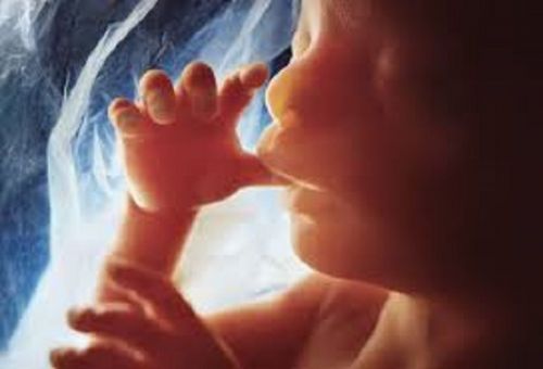 CDC Report Confirms Abortions Decline as Pro-Life States Save More Babies