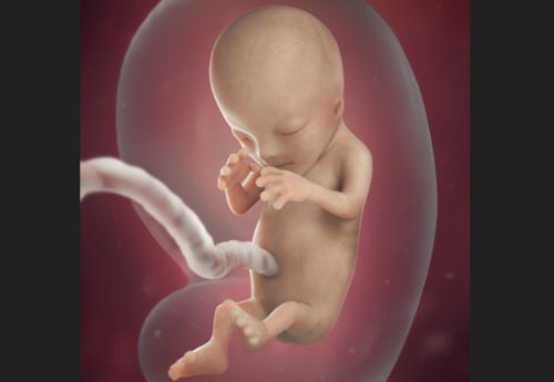 Leading Pro-Abortion Group Wants to Cover Up How Many Babies Abortion Kills