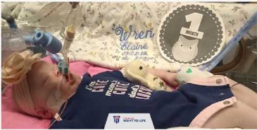 Hospital Wants to Remove Baby's Life Support Against Her Parents' Wishes
