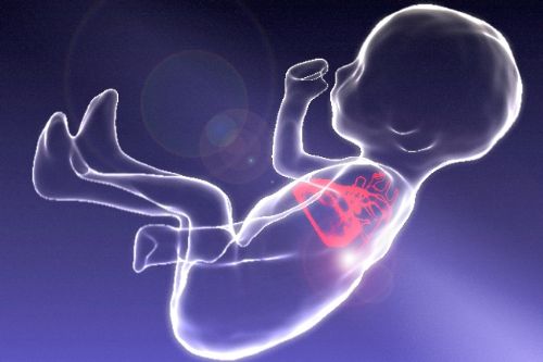 Florida Heartbeat Law Saves 12,000 Babies From Abortions During Its First Year
