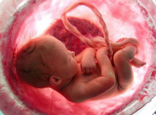 Tell Women the Truth About Abortion: The Baby is a Human Being