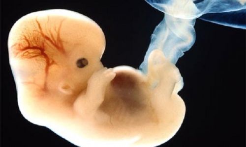 ACOG Under Fire for Misleading Women on Abortion Pill Reversal